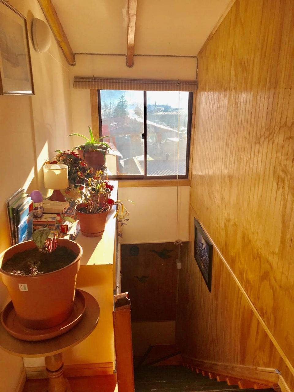 Hostal Patagonia Marmolコイハイケ エクステリア 写真